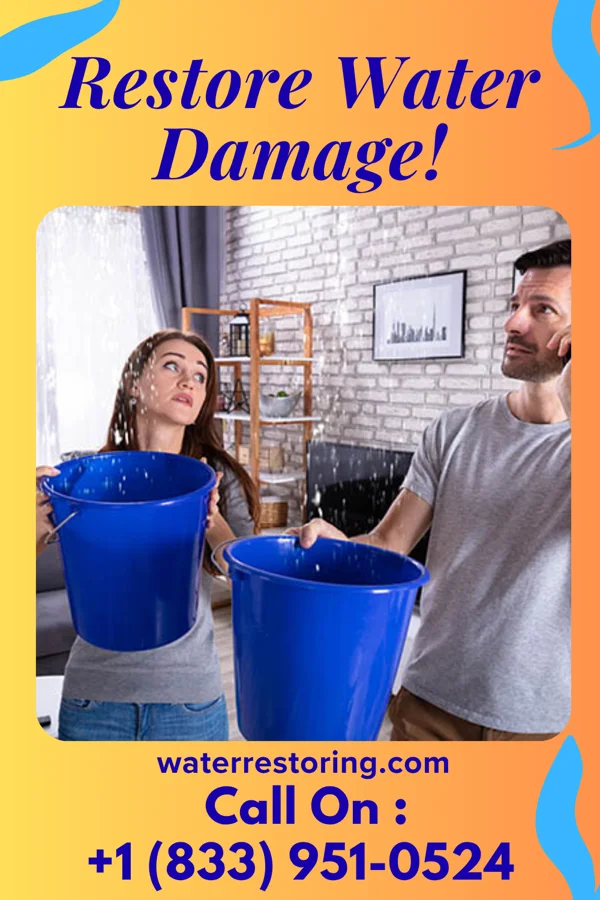 water restoration Expert Recovery Company Crete