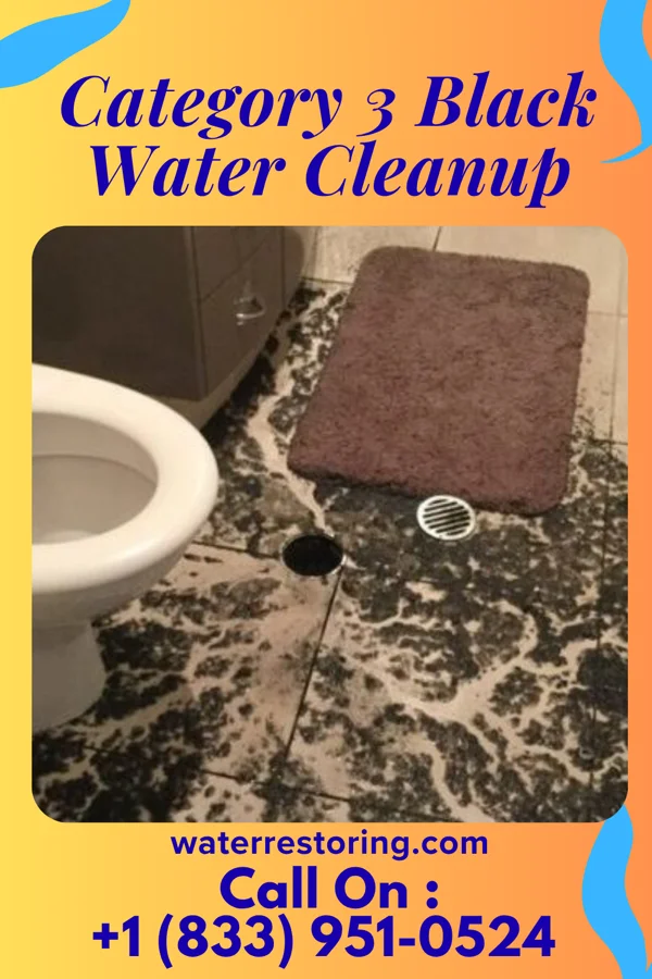 Category 3 Black Water Cleanup in Crete, IL