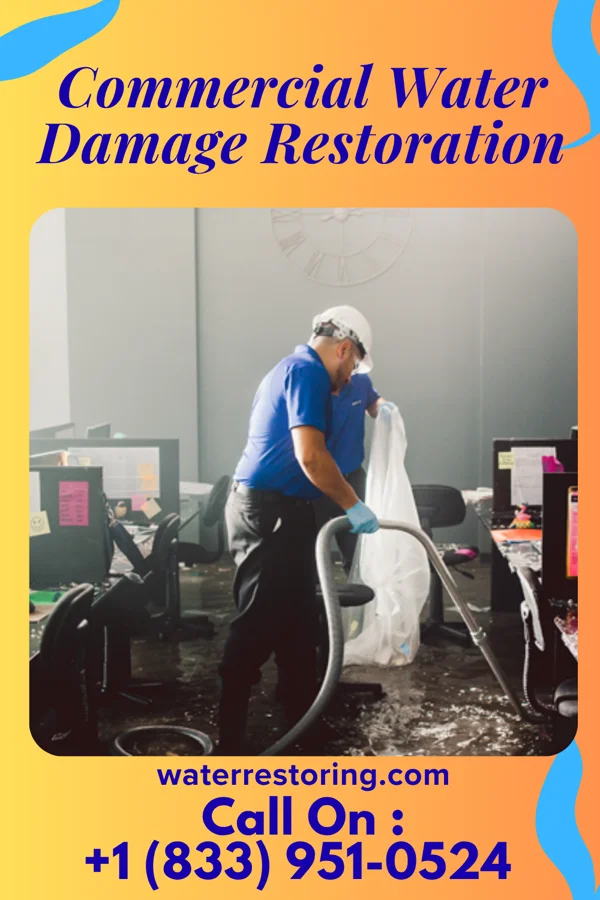 Commercial Water Damage Restoration in Crete, IL
