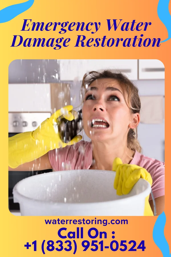 Emergency Water Damage Restoration in Crete, IL