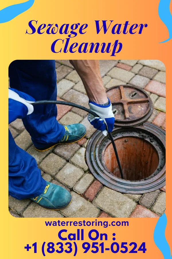 Sewage Water Cleanup in Crete, IL